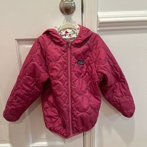 Lightweight Reversible Patagonia Puffer